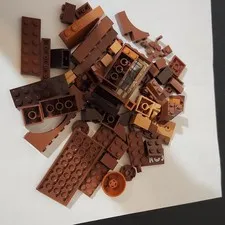 LEGO Brown Assorted Brick Bulk Lot Of Pieces