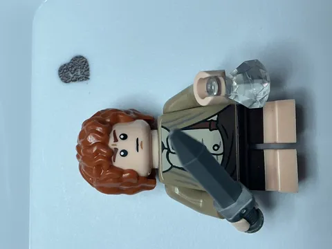 LEGO Lord Of The Rings: Samwise Gamgee Minifigure  