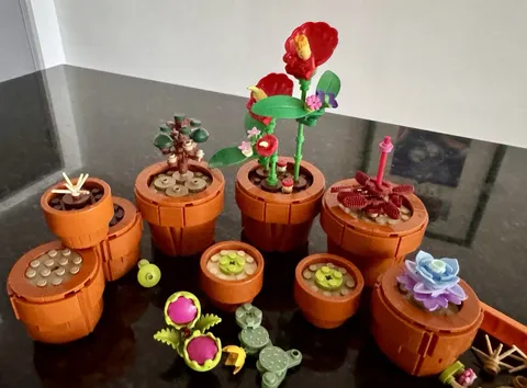 LEGO Botanicals: Tiny Plants (10329)
