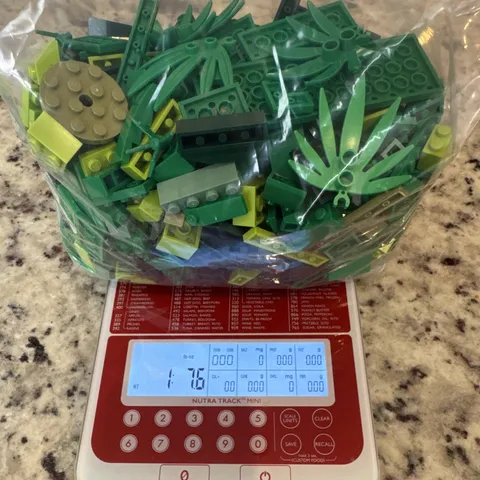 LEGO Green 1.5 pounds Lot Bulk Pack of Bricks, Plates, Pieces Clean Sanitized