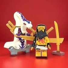 ARIN NINJAGO LEGO + PYTHOR (p)