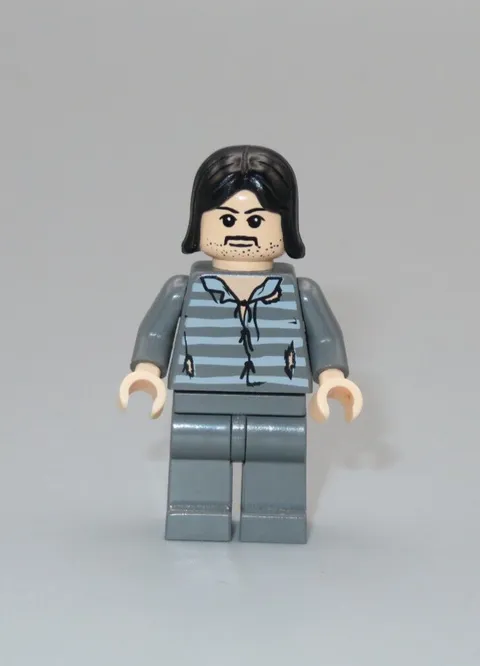 LEGO Harry Potter Sirius Black minifigure 4756 4753
