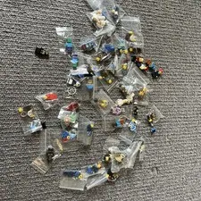 Random LEGO minifigure and part lot
