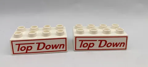 Lego Duplo Block Specialty Disney Cars Brick TOP DOWN X2 White Red Mack Truck
