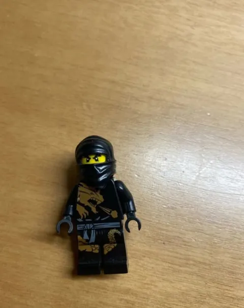 Lego Ninjago  Cole DX