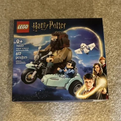 LEGO Harry Potter Hagrid & Harry's Motorcycle Ride 76443 Set 617 pcs