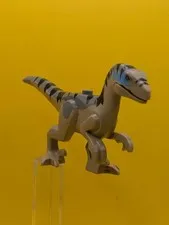 Dinosaur Raptor raptor18 Velociraptor with Dark Bluish Gray Back, Black Stripes,