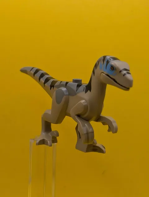 Dinosaur Raptor raptor18 Velociraptor with Dark Bluish Gray Back, Black Stripes,