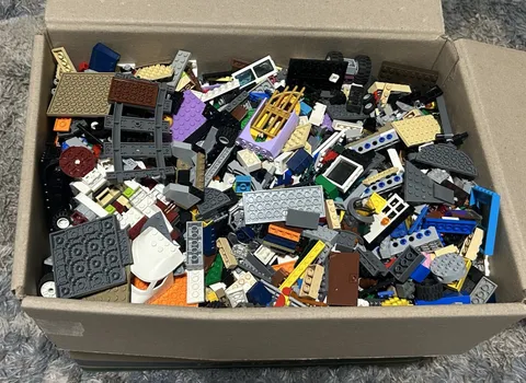 LEGO 25 lbs Pounds Random Parts & Pieces Building w/ Accessories