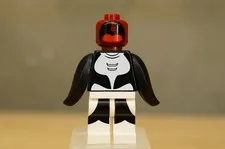 The LEGO Batman Movie Series 1 Minifigure 71017 Orca Missing Whale Over Head