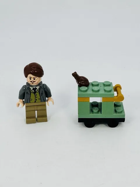 LEGO Professor Remus Lupin Minifigure Gray Jacket Green Vest W/Hogwarts Trolley