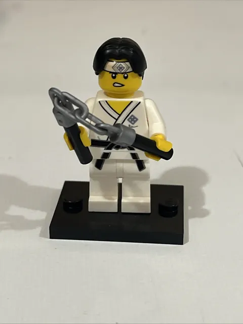 Lego Series 20 Set 71027 Martial Arts Boy