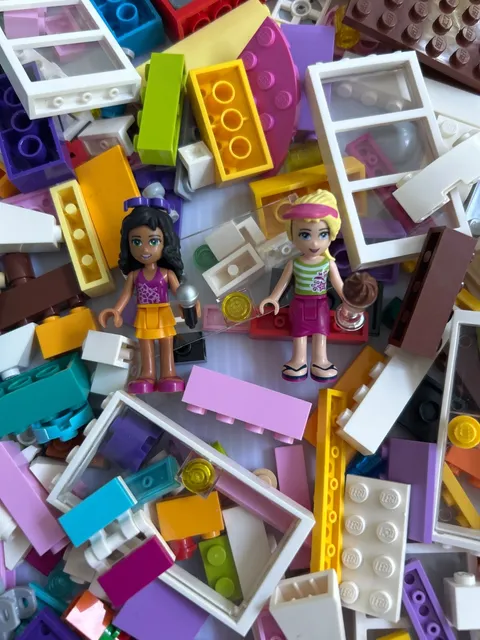 LOT Lego FRIENDS Stefanie minifigures BRICKS Accessories ice cream
