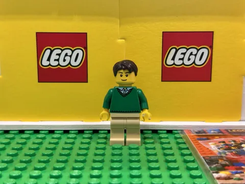 LEGO Creator, Pet Shop: Green Sweater Owner twn140, 10218