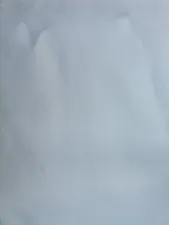 leg 7