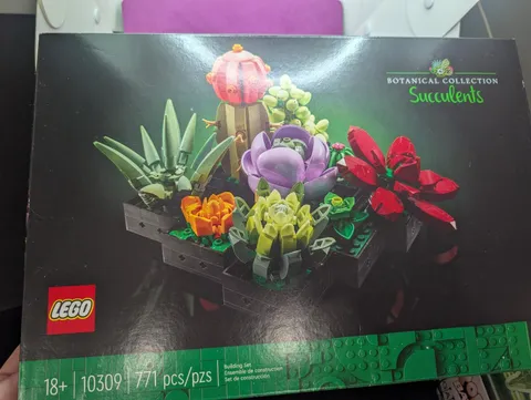 LEGO Botanicals: Succulents (10309)