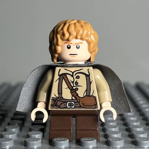 LEGO - The Lord of the Rings - Samwise Gamgee - lor004 - 3D
