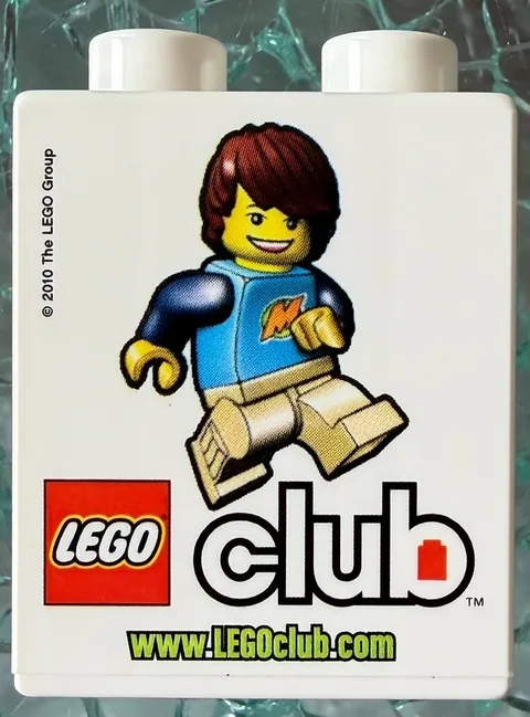 Lego Duplo 2010 The Lego Group Lego CLUB Brick