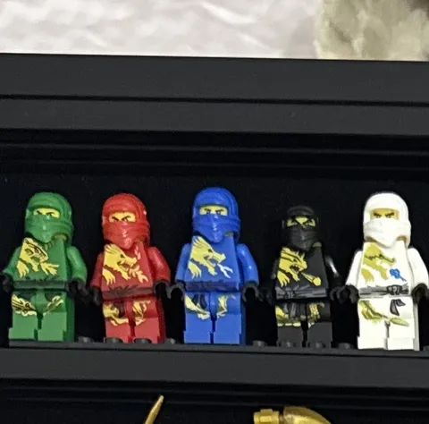 LEGO Ninjago CUSTOM MOC 3D printed DX minifigs Set of 5 Cole Zane Kai Jay Lloyd