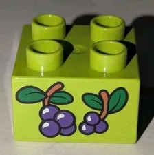 Lego Duplo Lime Green 2x2 Brick With 2 Grape Clusters Pattern Grapes Cluster Two