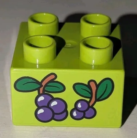 Lego Duplo Lime Green 2x2 Brick With 2 Grape Clusters Pattern Grapes Cluster Two