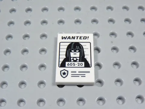 LEGO White 2x3 Printed Wanted Poster Female Girl Minifig BU