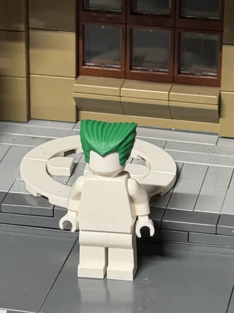 Batman 1 2006 Joker Hair Custom