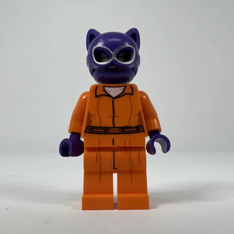 LEGO The Batman Movie Cat Woman Arkham Asylum Minifigure (sh0338)