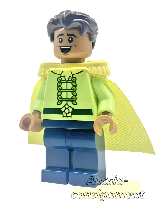 lego Disney Minifigure Prince Naveen dis136 43222