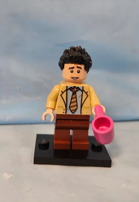 Lego 21319 Friends TV Show Central Park Ross Geller Minifigure