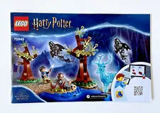 LEGO Harry Potter 75945 Instruction Manual