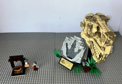 Lego 76964  Jurassic World Dinosaur Fossils T Rex Dino Market Complete Sets