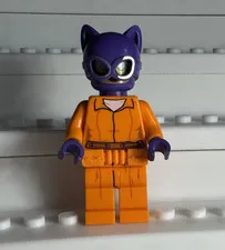 LEGO DC Arkham Asylum Catwoman Minifigure