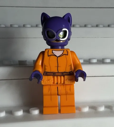 LEGO DC Arkham Asylum Catwoman Minifigure