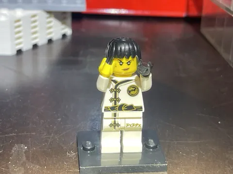 LEGO Minifigure Spinjitzu Training Nya NINJAGO