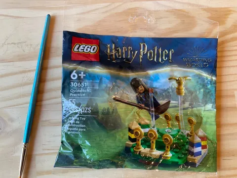 LEGO Quidditch Practice 30651 Harry Potter