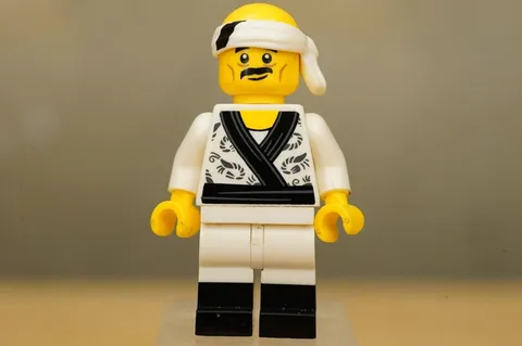 LEGO The Ninjago Movie Collectible Minifigure 71019 Sushi Chef collnm19