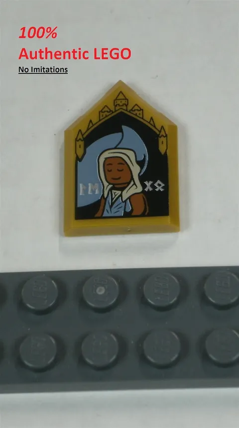 LEGO NEW 2x3 Pearl Gold Tile Edessa Sakndenberg Portrait (1x) 734912 Brick 35341