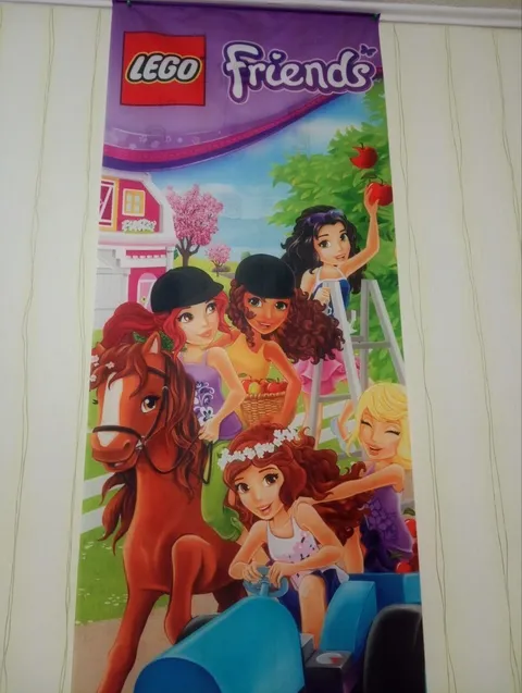 LEGO Banner Friends Livi 78' x 25'