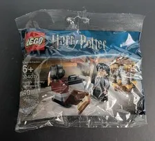 LEGO Harry Potter  30407  HARRY'S JOURNEY TO HOGWARTS   New Retired