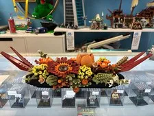 10314 Botanical Dried Flower Centerpiece - Used