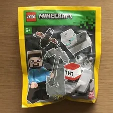 LEGO Minecraft Steve in the Diamond Mine with Bat 662411 Paper Bag SEALED
