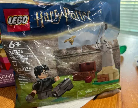 Lego Quidditch Lesson with Harry Potter 30706 Retired New Factory Sealed 2025