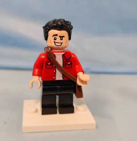 Lego 21319 Friends TV Show Central Park Joey Trebbiani Minifigure