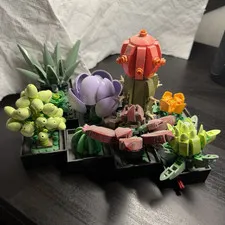 LEGO Botanicals Succulents 10309 No Instructions or Box