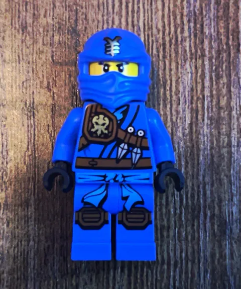 Lego Ninjago Jungle Robe Jay