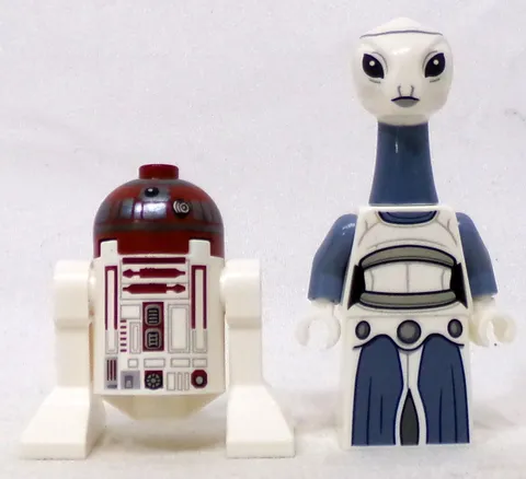 LEGO Star Wars Episode 2 75333  Taun We & Astromech Droid R4-P17 Minifigures