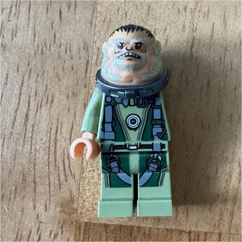 LEGO Star Wars Bistan Minifigure sw0780