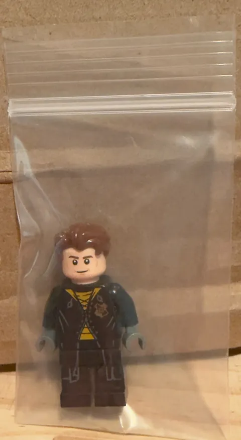 LEGO Harry Potter Hungarian Horntail 75946- Cedric (hp179) Retired