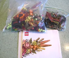 LEGO Icons Dried Flower Centerpiece Set 10314 w Instruction Book